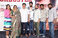 Krishna Vrinda Vihari Movie Thanks Meet